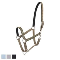 HV �ˡ��� �ۥ륿��