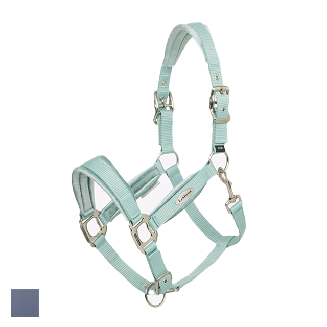 LeMieux ヴェルサイユ 無口 | For Horse 馬用品,ハルター/リード