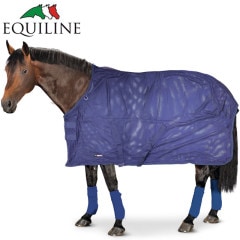 EL ���� ��å���饰