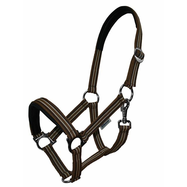 カラーマッチニューホルター レギュラープラス | For Horse 馬具