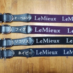 Lemieux 饹ƥå٥