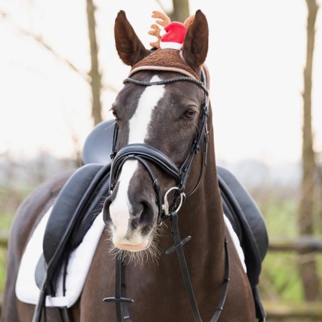 乗馬 Pikeur 可愛い帽子 000000005197_Ck3S3r6.jpg