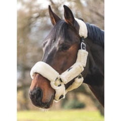 EQUILINE（エクイライン）