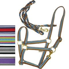 ���顼�ޥå��˥塼�ۥ륿��