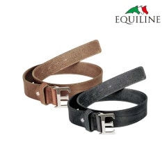 EQUILINE BETTA �٥��