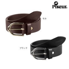 PIKEUR ƪ�ץ٥��