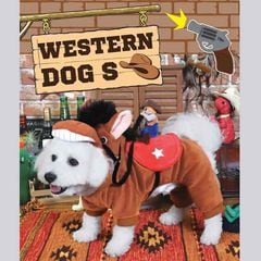 Real ���� ���ǥ�������ѡ���