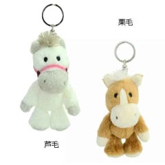 NICI ������� BB����2026