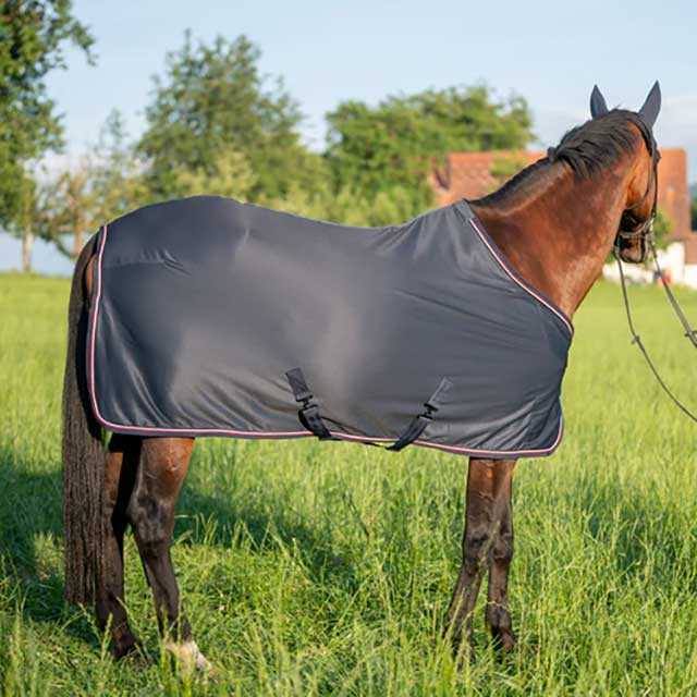 TH ���󥰥��ȥ�®���饰