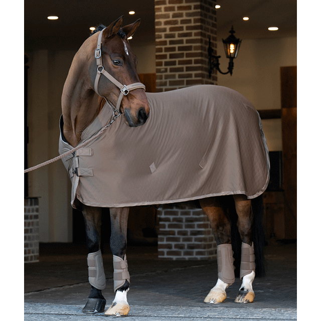 ESK ����å����� ���㡼���饰