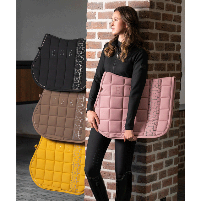 ESK �ϥ��� ���å���