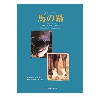 ���� ���顼���ȥ饹�Ϥ���