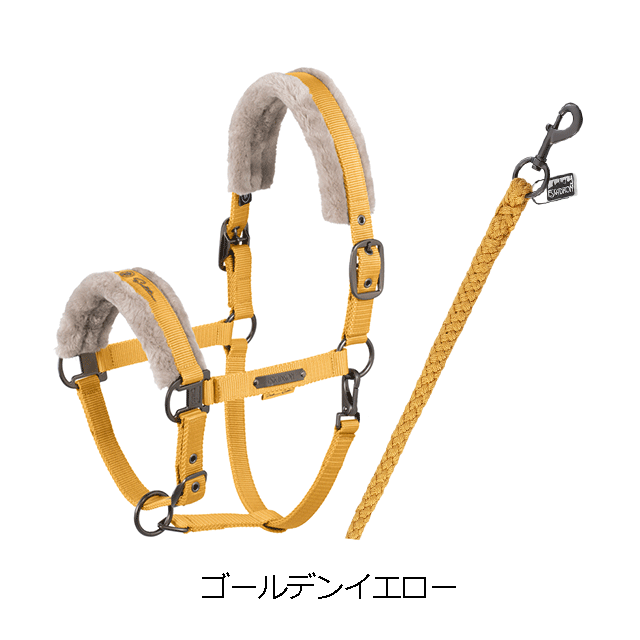 ESK 2WAY�ե����դ�̵�����꡼�� ���å�