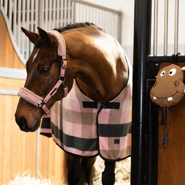 ESK 2WAY�ե����դ�̵�����꡼�� ���å�