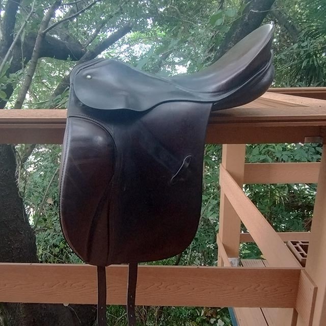 ����š�PASSIER �Ͼ�ȡ�16.5