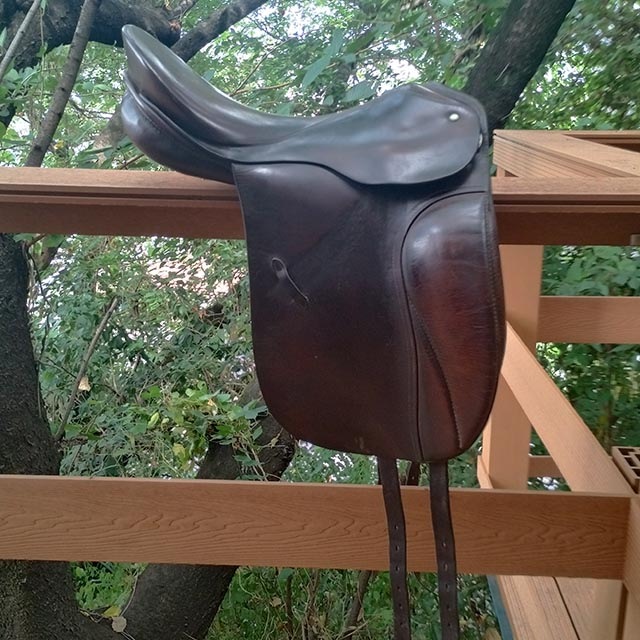 ����š�PASSIER �Ͼ�ȡ�16.5