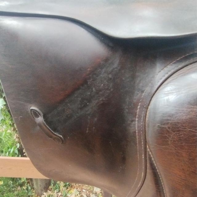 ����š�PASSIER �Ͼ�ȡ�16.5