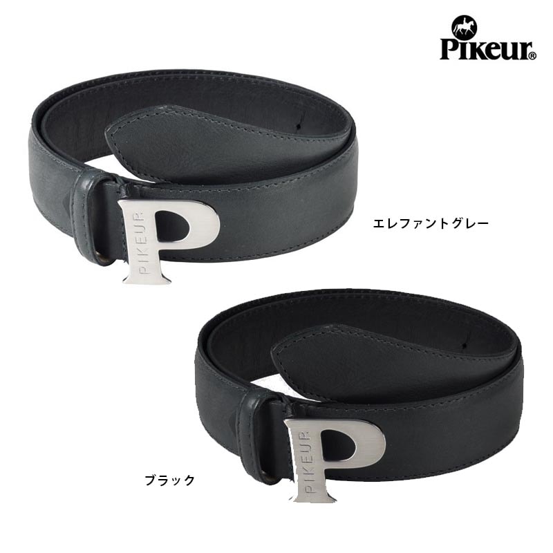 PIKEUR ���˥����٥��