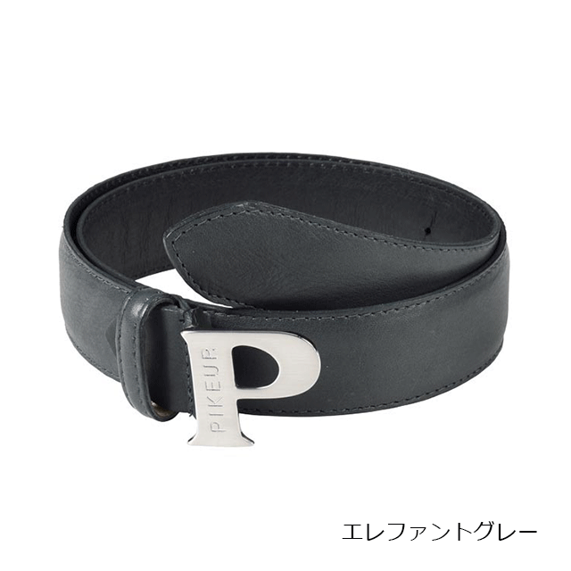 PIKEUR ���˥����٥��