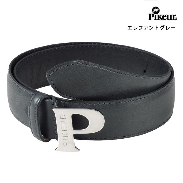 PIKEUR ���˥����٥��