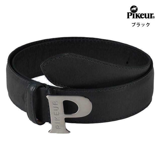 PIKEUR ���˥����٥��