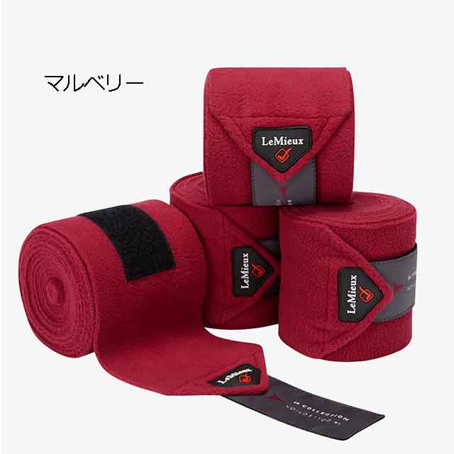 Lemieux �ݥ��Х�ơ���