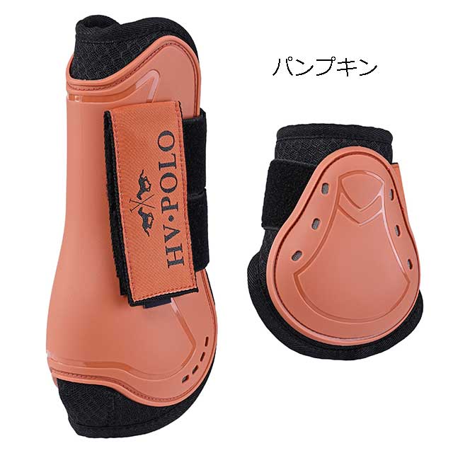 HV ���饷�å� �ץ��ƥ��������å�