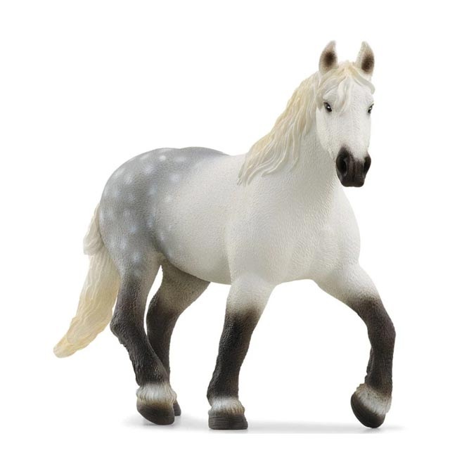 ����饤�ҡ��ڥ륷�����ʥ᥹��