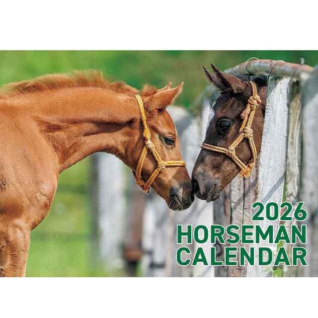 �ۡ����ޥ󥫥����� 2026