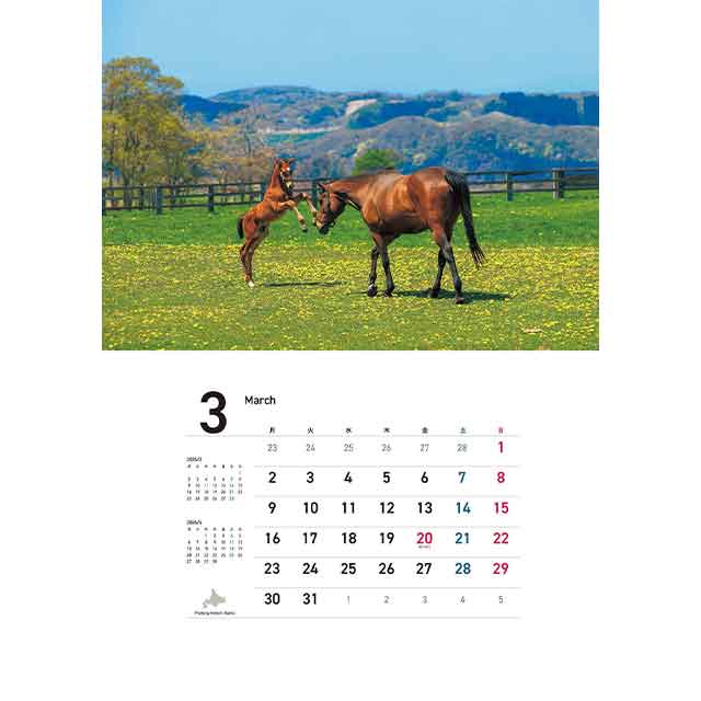 �ۡ����ޥ󥫥����� 2026