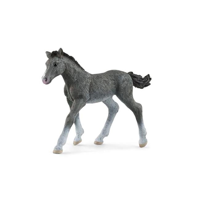 �����׎��� �ȥ饱�ʡ�(��)��NEW