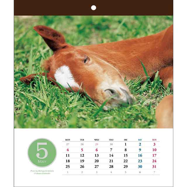 ���塼�ȥե������������� 2026