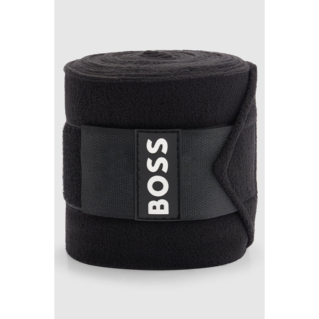 BOSS �ݥ��Х�ǡ���