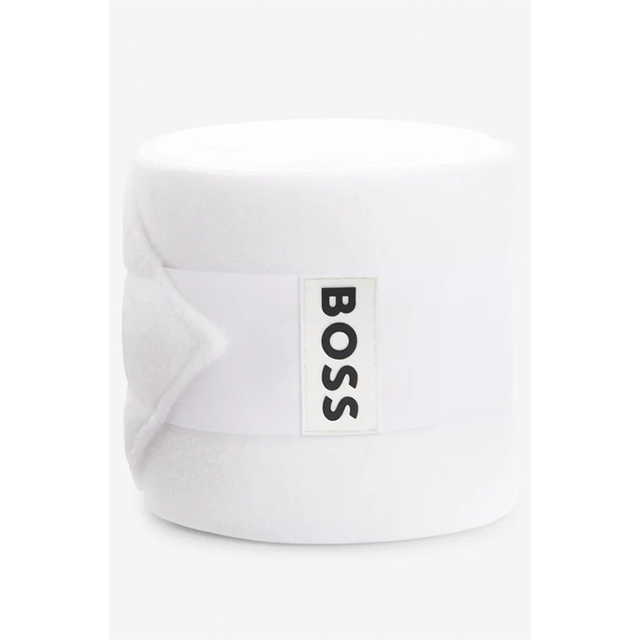 BOSS �ݥ��Х�ǡ���