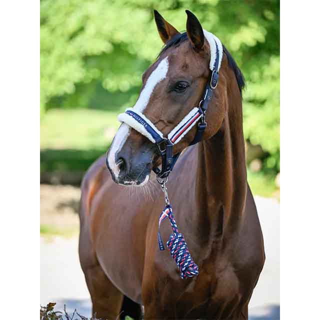 TH �������� �ե����դ� �ۥ륿�� �꡼�ɥ��å�