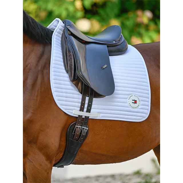 TH ���åץ��ơ��� ���å���