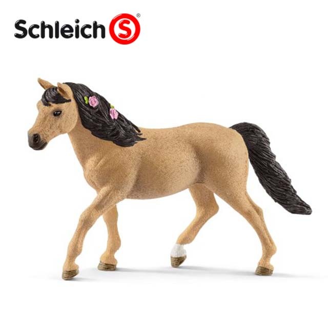 �����׎��ˡ����ͥޥ�ݥˡ��ʥ᥹��