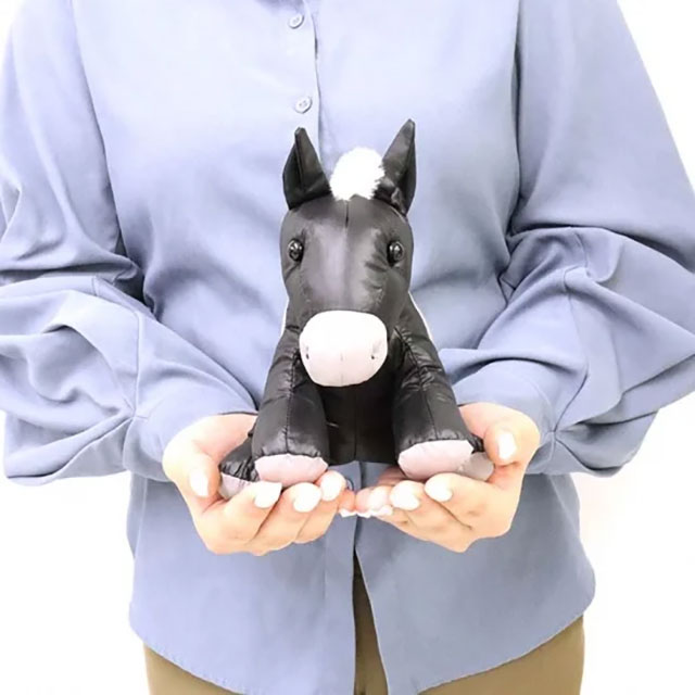 WHY �ޥ����åȥ����Хå�