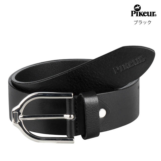 PIKEUR ƪ�ץ٥��