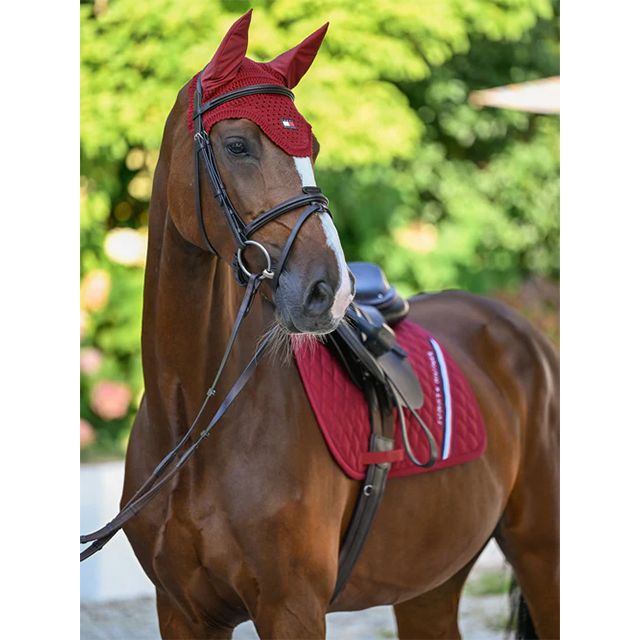 TH �쥭����ȥ� ���䡼�ͥå�