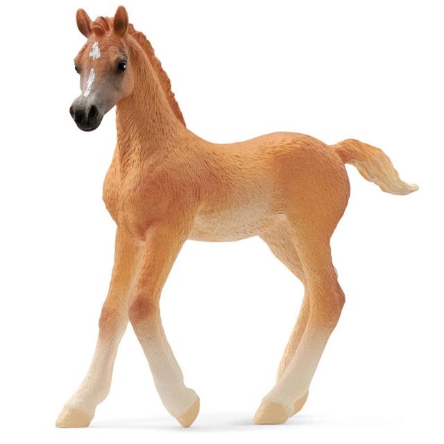 ����饤�ҡ�����ӥ����ʻơ�