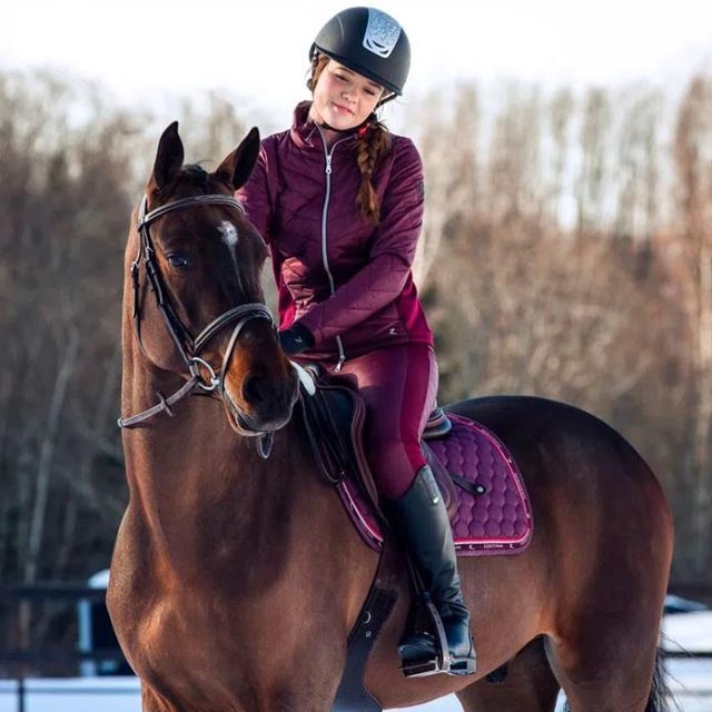 HORZE ������ �ϥ��֥�åɥ��㥱�å�