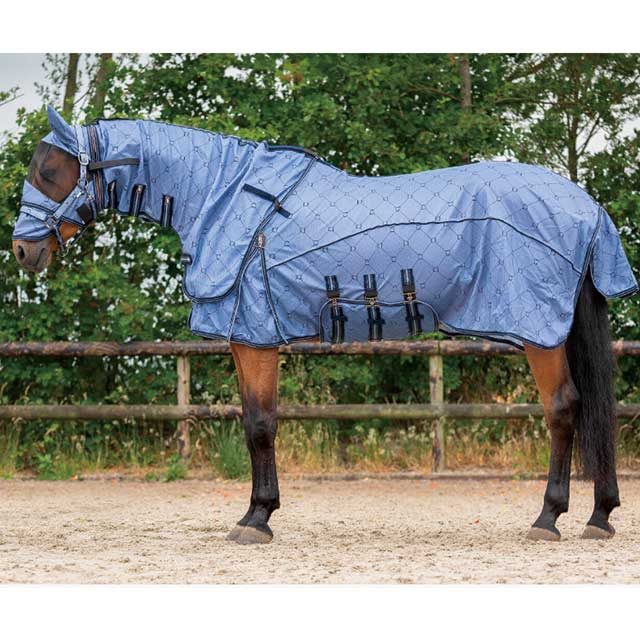 QHP �ա��ɥͥå��դ��ե饤������