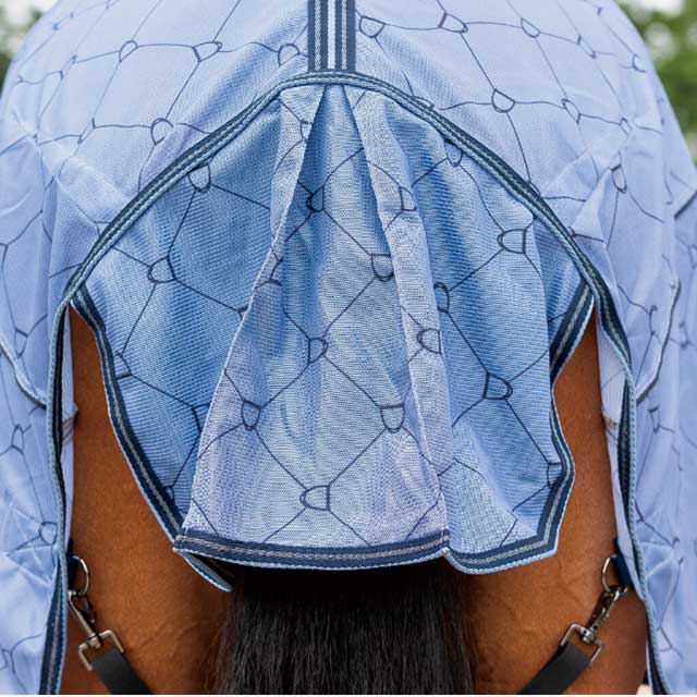 QHP �ա��ɥͥå��դ��ե饤������