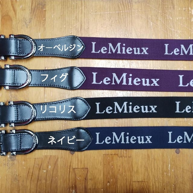 Lemieux 饹ƥå٥