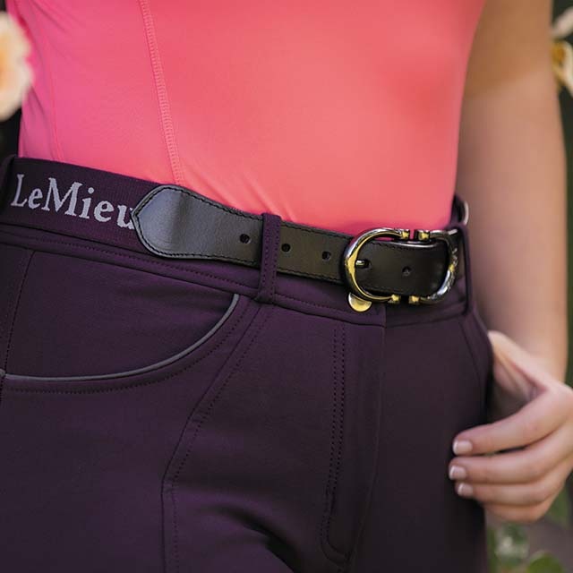 Lemieux 饹ƥå٥