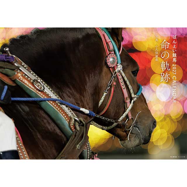 �Ф󤨤�����2027����������̿�ε��ס�
