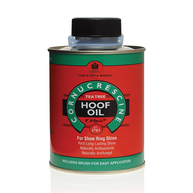 CDM �ƥ����ĥ꡼�ա��ե����� ��������