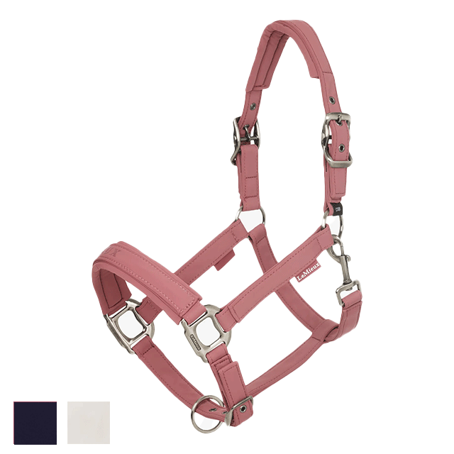 LeMieux ���å��� ̵��