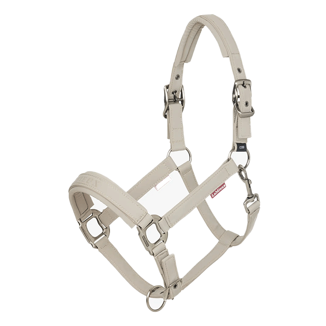 LeMieux ���å��� ̵��